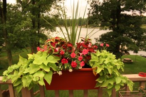 Miracle Grow Planting Mix