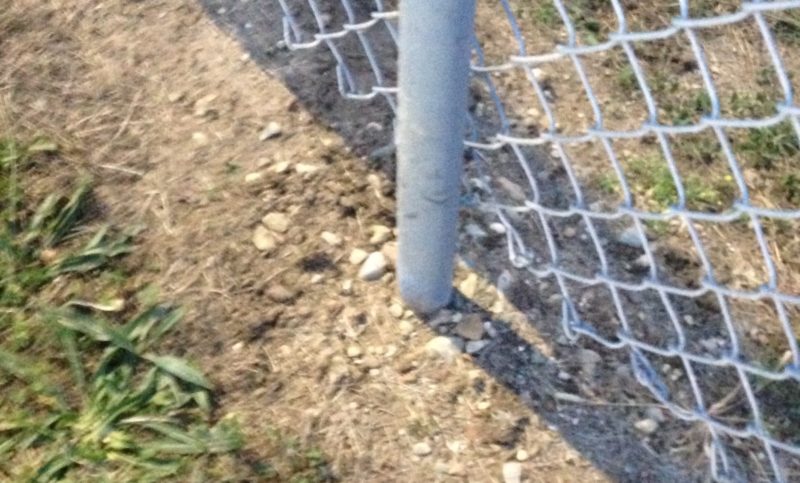 Fence Post